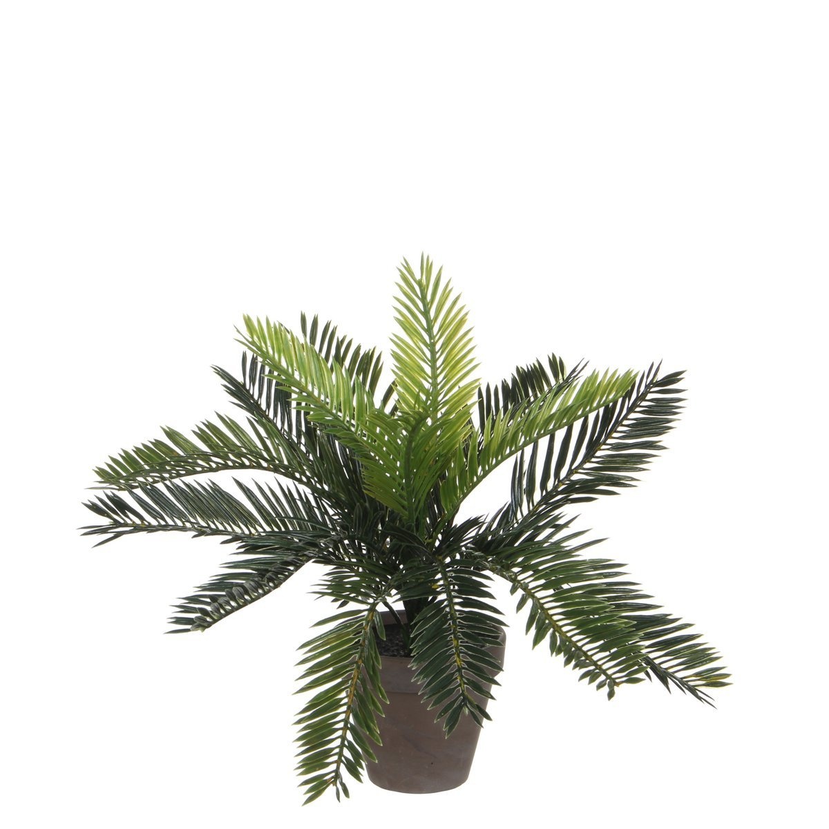 KantoormeubelenPlus Cycas Palm Kunstplant in Bloempot Stan - H33 x Ø34 cm - Groen