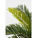KantoormeubelenPlus Cycas Palm Kunstplant in Bloempot Stan - H33 x Ø34 cm - Groen