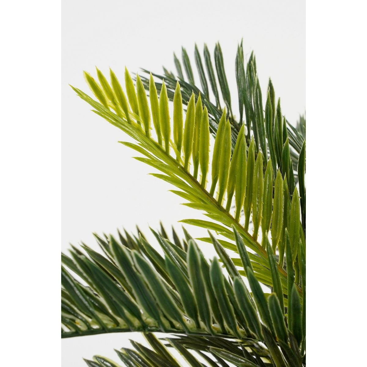KantoormeubelenPlus Cycas Palm Kunstplant in Bloempot Stan - H33 x Ø34 cm - Groen