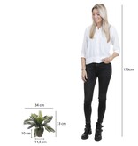 KantoormeubelenPlus Cycas Palm Kunstplant in Bloempot Stan - H33 x Ø34 cm - Groen