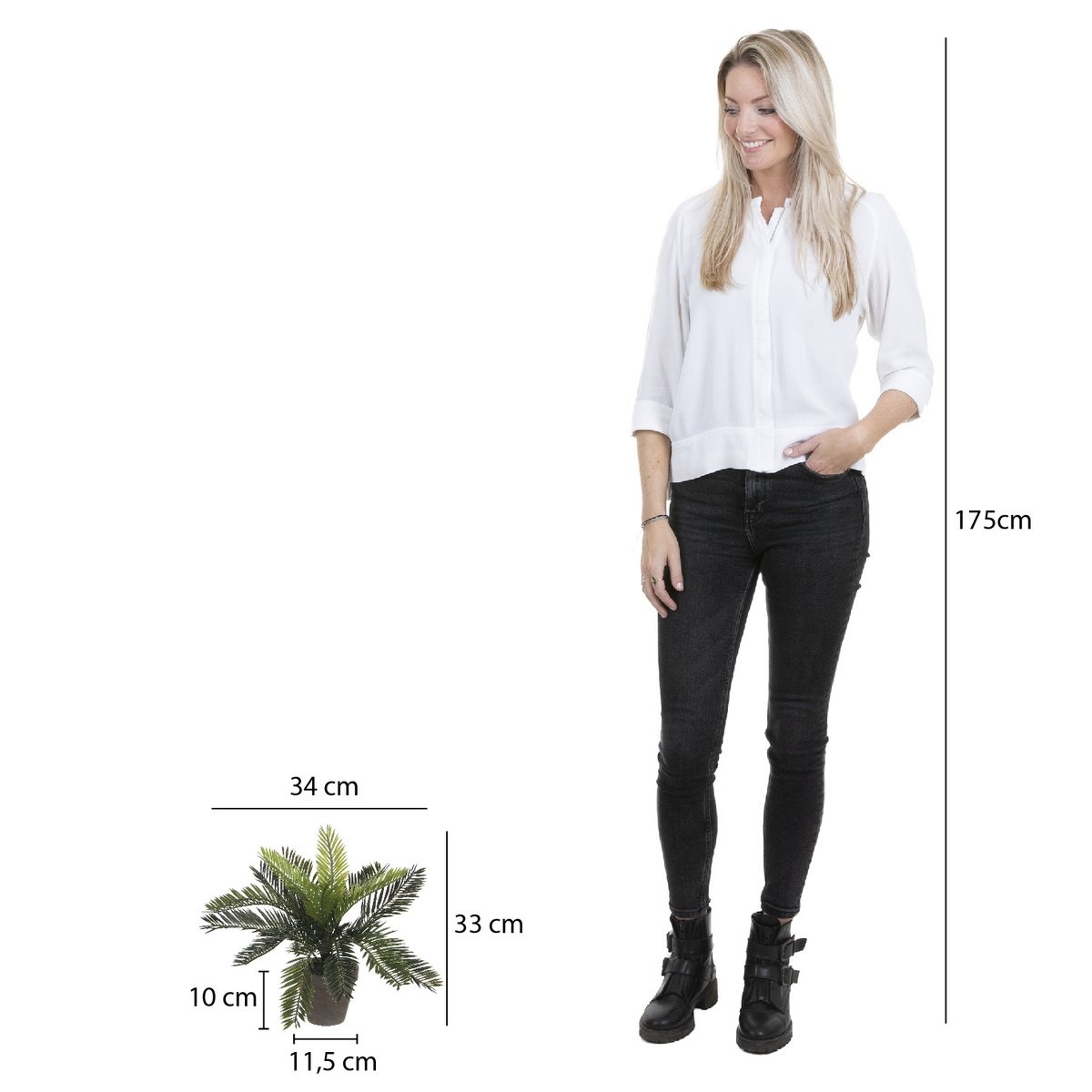 KantoormeubelenPlus Cycas Palm Kunstplant in Bloempot Stan - H33 x Ø34 cm - Groen