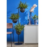 KantoormeubelenPlus Rioja Fles Vaas - H50 x Ø15 cm - Gerecycled Glas - Donkergrijs