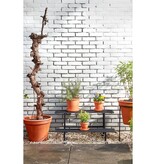 KantoormeubelenPlus Greenrax Plantentafel - L90 x B44 x H42 cm - Metaal - Zwart