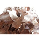 K15 Oyster lampenkap