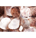 K15 Oyster lampenkap