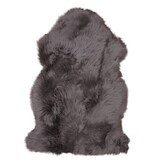 KantoormeubelenPlus Lamsvel