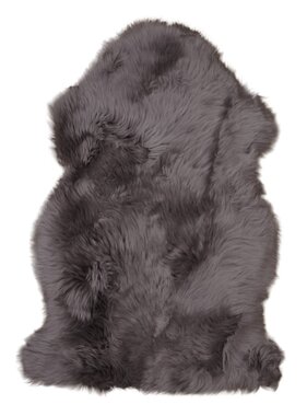 KantoormeubelenPlus Lamsvel