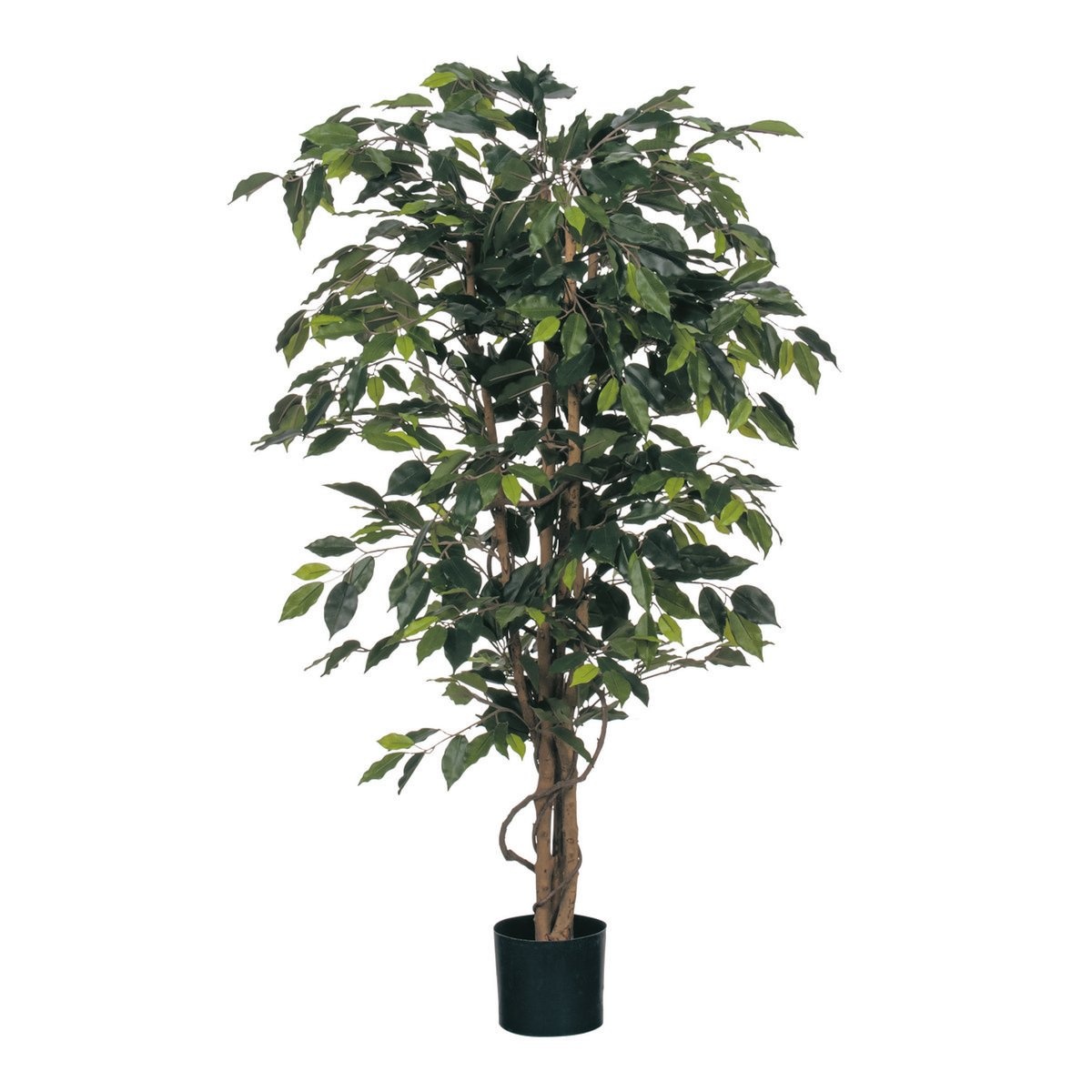 KantoormeubelenPlus Ficus Kunstplant - H150 x Ø85 cm - Groen
