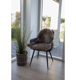 KantoormeubelenPlus Lamsvel