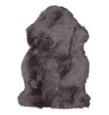 KantoormeubelenPlus Lamsvel