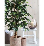KantoormeubelenPlus Ficus Kunstplant - H150 x Ø85 cm - Groen