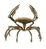 H19 Krab L