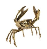 H19 Krab L