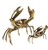H19 Krab L
