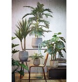 KantoormeubelenPlus Rioja Fles Vaas - H100 x Ø21 cm - Gerecycled Glas - Transparant