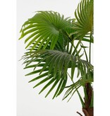 KantoormeubelenPlus Waaierpalm Kunstplant in Bloempot - H120 x Ø80 cm - Groen