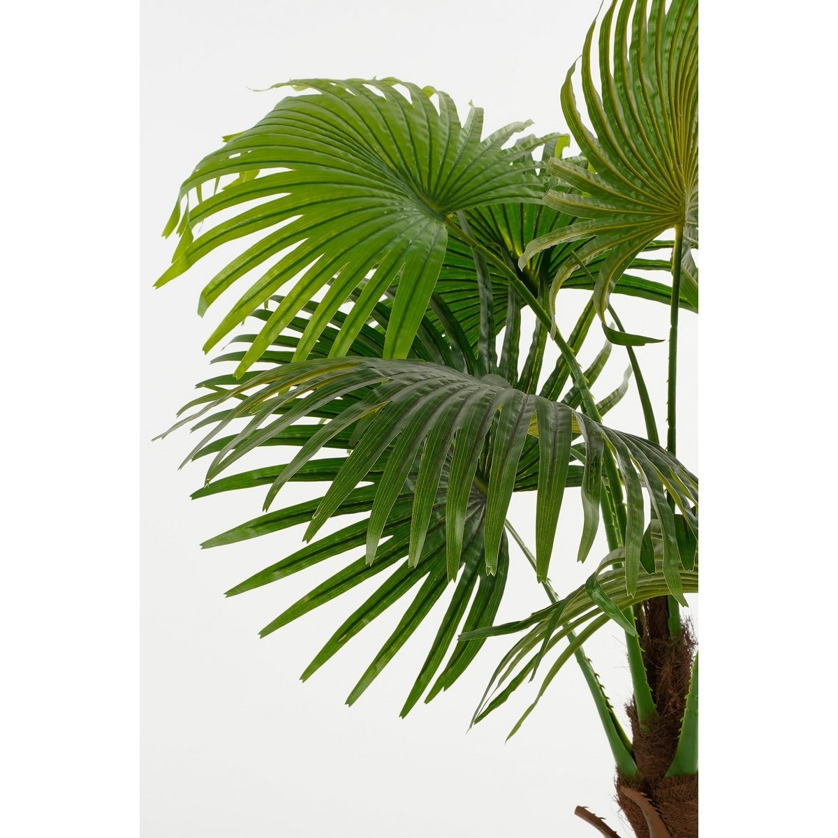 KantoormeubelenPlus Waaierpalm Kunstplant in Bloempot - H120 x Ø80 cm - Groen