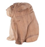 Kelso Bulldog