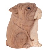 Kelso Bulldog