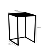 KantoormeubelenPlus Goa Bijzettafel - Set van 2 - L30 x B30 x H42 cm - Metaal - Zwart