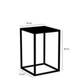 KantoormeubelenPlus Goa Bijzettafel - Set van 2 - L30 x B30 x H42 cm - Metaal - Zwart