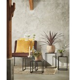 KantoormeubelenPlus Goa Bijzettafel - Set van 2 - L30 x B30 x H42 cm - Metaal - Zwart