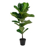 KantoormeubelenPlus Fiddle Leaf Tree