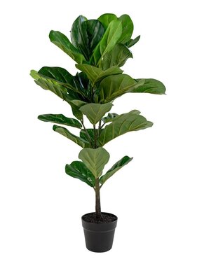 KantoormeubelenPlus Fiddle Leaf Tree
