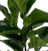 KantoormeubelenPlus Fiddle Leaf Tree