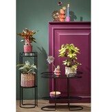 KantoormeubelenPlus Cordoba Plantentafel - L57,5 x B20 x H50 cm - Metaal - Zwart