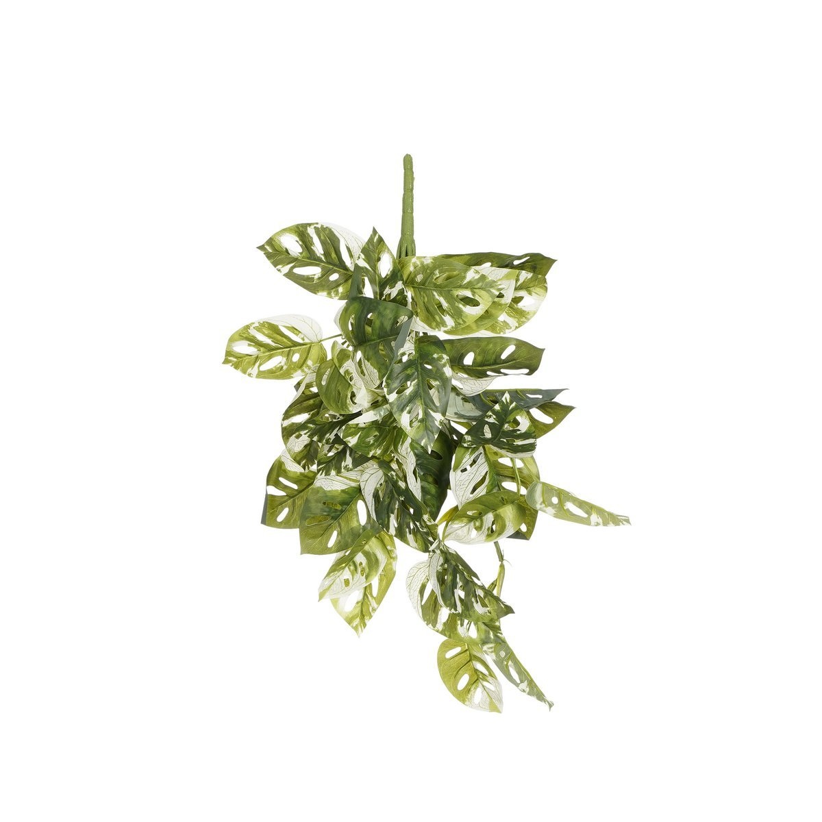 KantoormeubelenPlus Monstera Adansonii Kunst Hangplant - H53 cm - Groen Bont
