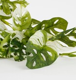 KantoormeubelenPlus Monstera Adansonii Kunst Hangplant - H53 cm - Groen Bont