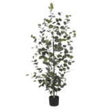 KantoormeubelenPlus Eucalyptus Kunstplant in Bloempot - H150 x Ø30 cm - Groen 