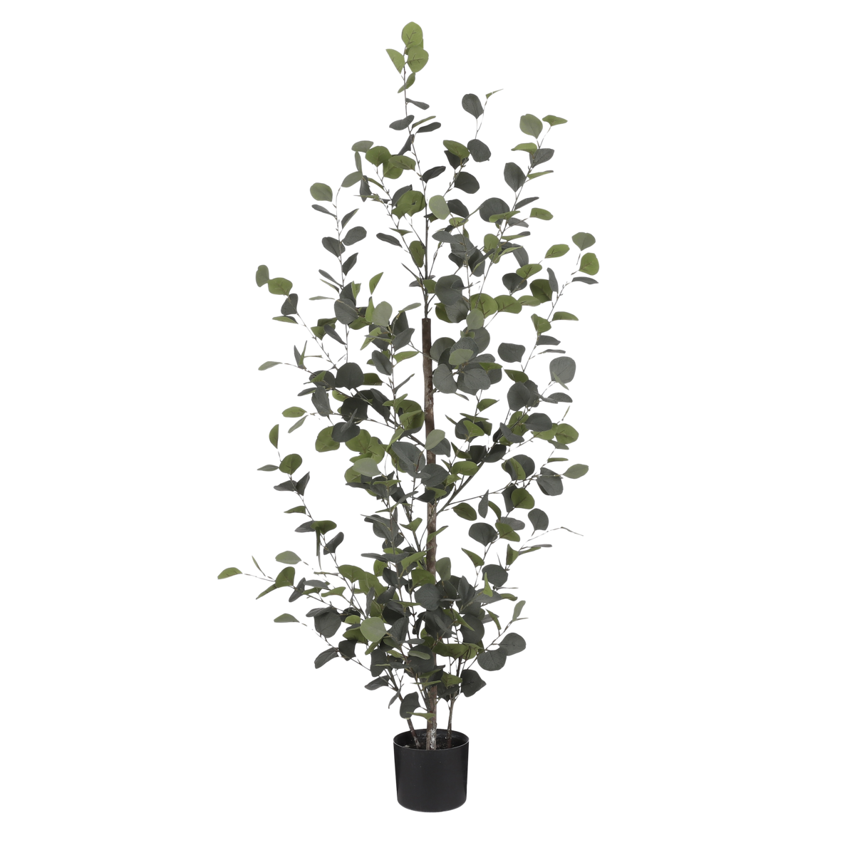 KantoormeubelenPlus Eucalyptus Kunstplant in Bloempot - H150 x Ø30 cm - Groen 