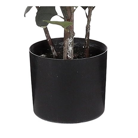 KantoormeubelenPlus Eucalyptus Kunstplant in Bloempot - H150 x Ø30 cm - Groen 