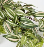 KantoormeubelenPlus Tradescantia Kunst Hangplant in Bloempot Stan - H45 x Ø25 cm - Groen