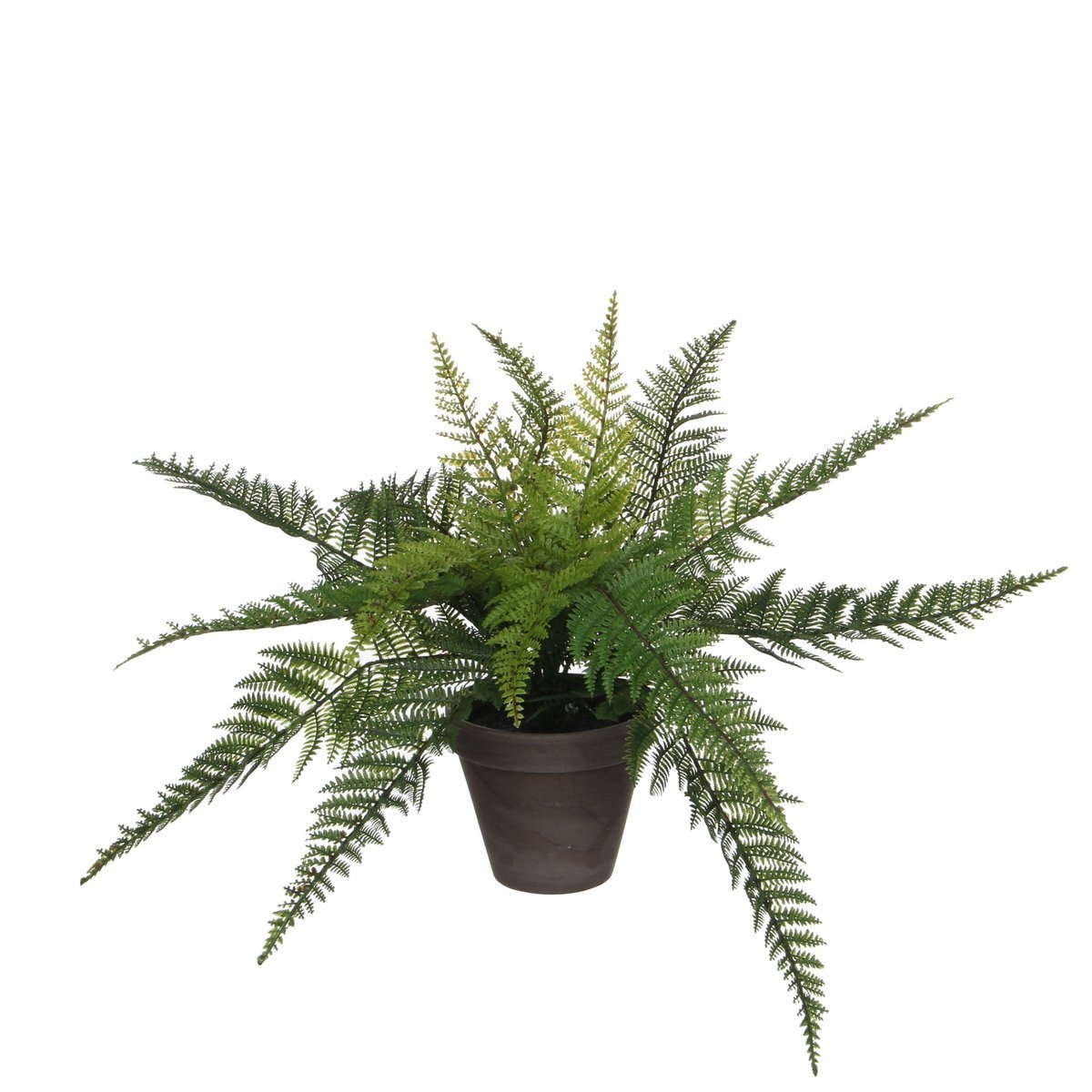 KantoormeubelenPlus Varen Kunstplant in Bloempot Stan - H38 x Ø50 cm - Groen