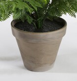 KantoormeubelenPlus Varen Kunstplant in Bloempot Stan - H38 x Ø50 cm - Groen