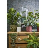 KantoormeubelenPlus Varen Kunstplant in Bloempot Stan - H38 x Ø50 cm - Groen