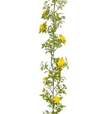 KantoormeubelenPlus Margriet Kunst Slinger - H180 cm - Geel