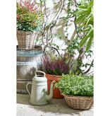 KantoormeubelenPlus Tobi Gieter - 8 liter - Gerecycled Plastic - Grijs