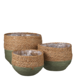 KantoormeubelenPlus Jorck Mand voor Planten - Set van 3 - H24 x Ø26 cm - Zeegras - Groen