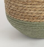 KantoormeubelenPlus Jorck Mand voor Planten - Set van 3 - H24 x Ø26 cm - Zeegras - Groen