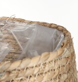 KantoormeubelenPlus Jorck Mand voor Planten - Set van 3 - H24 x Ø26 cm - Zeegras - Groen