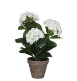 KantoormeubelenPlus Hortensia Kunstplant in Bloempot Stan - H40 x Ø35 cm - Wit