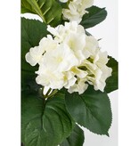 KantoormeubelenPlus Hortensia Kunstplant in Bloempot Stan - H40 x Ø35 cm - Wit