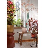 KantoormeubelenPlus Bold Houten Bankje - L80 x B36,5 x H44 cm - Gerecycled Hout - Bruin