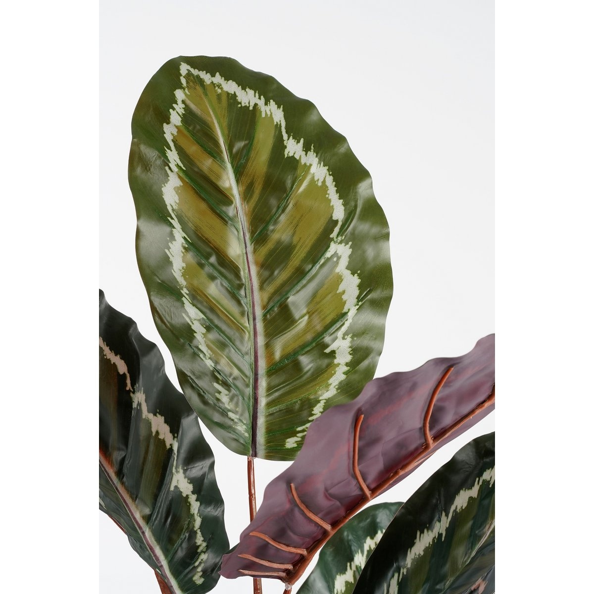 KantoormeubelenPlus Calathea Roseopicta Kunstplant - H90 x Ø60 cm - Groen