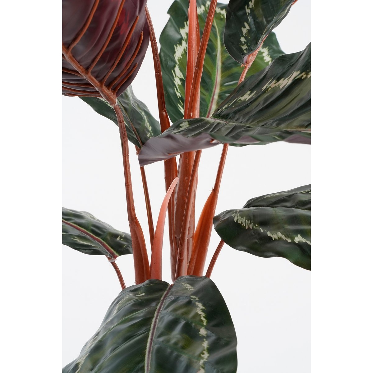 KantoormeubelenPlus Calathea Roseopicta Kunstplant - H90 x Ø60 cm - Groen