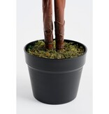 KantoormeubelenPlus Calathea Roseopicta Kunstplant - H90 x Ø60 cm - Groen